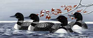 "Fall Loons"